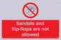 PP16771: Sandals and flip-flops are not allowed