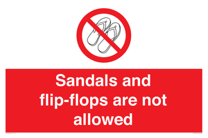 PP16771: Sandals and flip-flops are not allowed