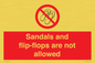 PP16771: Sandals and flip-flops are not allowed