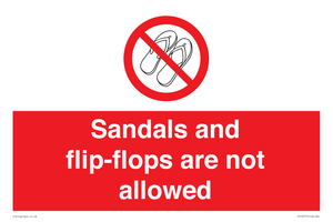 PP16771: Sandals and flip-flops are not allowed