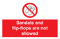 PP16771: Sandals and flip-flops are not allowed