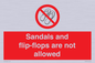 PP16771: Sandals and flip-flops are not allowed
