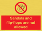 PP16771: Sandals and flip-flops are not allowed