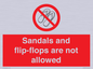 PP16771: Sandals and flip-flops are not allowed