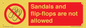PP16771: Sandals and flip-flops are not allowed