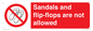 PP16771: Sandals and flip-flops are not allowed