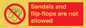 PP16771: Sandals and flip-flops are not allowed