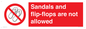 PP16771: Sandals and flip-flops are not allowed