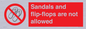PP16771: Sandals and flip-flops are not allowed