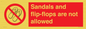 PP16771: Sandals and flip-flops are not allowed
