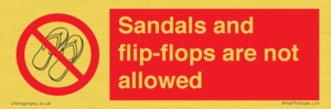 PP16771: Sandals and flip-flops are not allowed