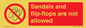 PP16771: Sandals and flip-flops are not allowed