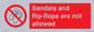 PP16771: Sandals and flip-flops are not allowed
