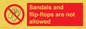 PP16771: Sandals and flip-flops are not allowed