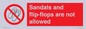 PP16771: Sandals and flip-flops are not allowed