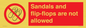 PP16771: Sandals and flip-flops are not allowed
