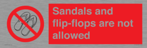 PP16771: Sandals and flip-flops are not allowed