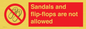 PP16771: Sandals and flip-flops are not allowed