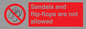 PP16771: Sandals and flip-flops are not allowed