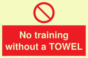 PP6168: No training without a TOWEL