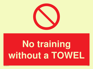 PP6168: No training without a TOWEL