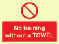 PP6168: No training without a TOWEL