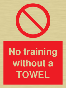 PP6168: No training without a TOWEL