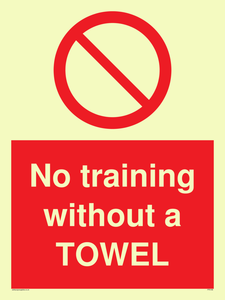 PP6168: No training without a TOWEL