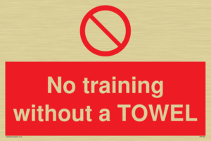 PP6168: No training without a TOWEL