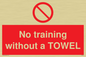 PP6168: No training without a TOWEL