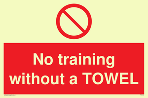 PP6168: No training without a TOWEL