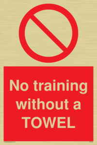 PP6168: No training without a TOWEL