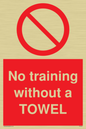 PP6168: No training without a TOWEL