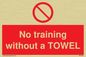 PP6168: No training without a TOWEL