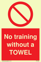 PP6168: No training without a TOWEL