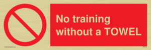PP6168: No training without a TOWEL