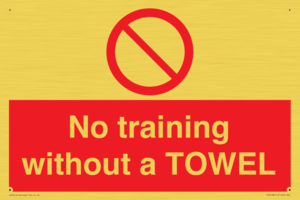 PP6168: No training without a TOWEL