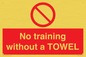 PP6168: No training without a TOWEL