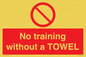 PP6168: No training without a TOWEL