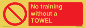 PP6168: No training without a TOWEL