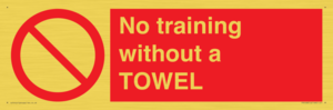 PP6168: No training without a TOWEL