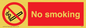 PS1: no smoking