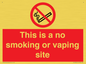 PS15305: This is a no smoking or vaping site