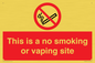 PS15305: This is a no smoking or vaping site
