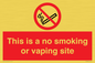 PS15305: This is a no smoking or vaping site