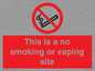 PS15305: This is a no smoking or vaping site