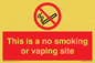 PS15305: This is a no smoking or vaping site