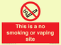 PS15305: This is a no smoking or vaping site