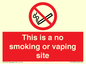PS15305: This is a no smoking or vaping site