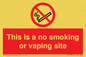 PS15305: This is a no smoking or vaping site